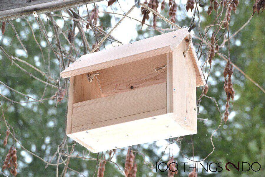 DIY Bird Feeder