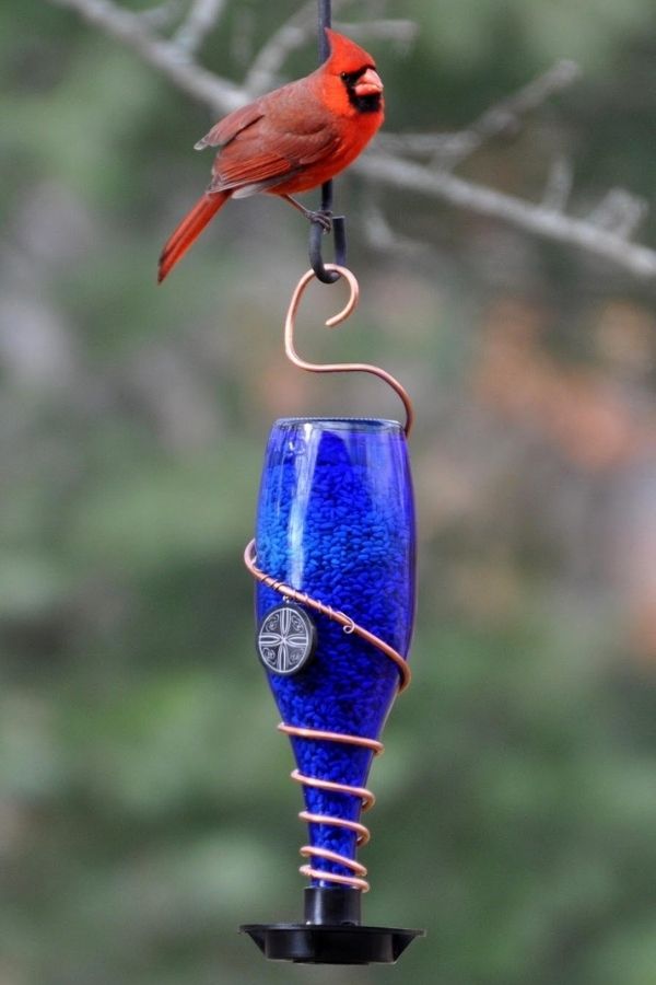 DIY Glass Bottle Bird Feeders