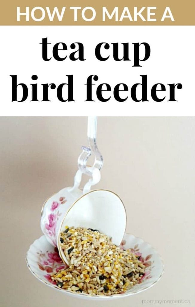 DIY Tea Cup Bird Feeder