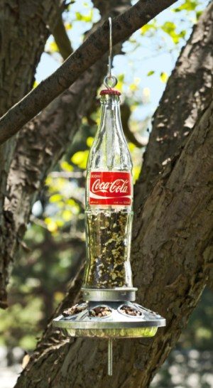 Glass Soda Bottle Bird Feeder