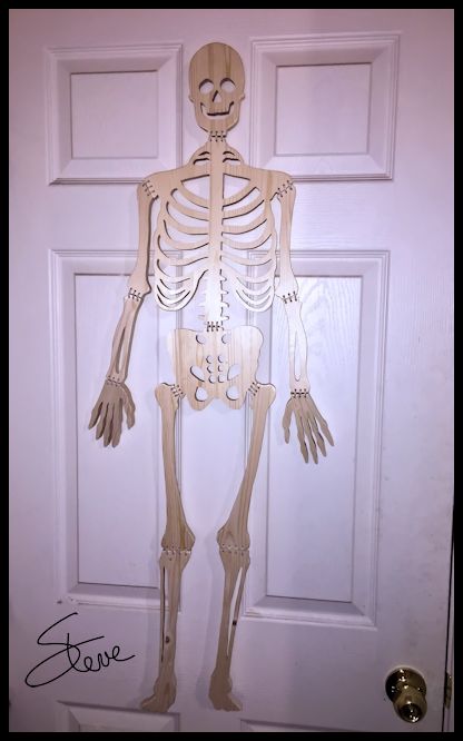 Wooden Human Skeleton