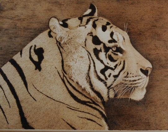 Bengal Tiger Pyrography