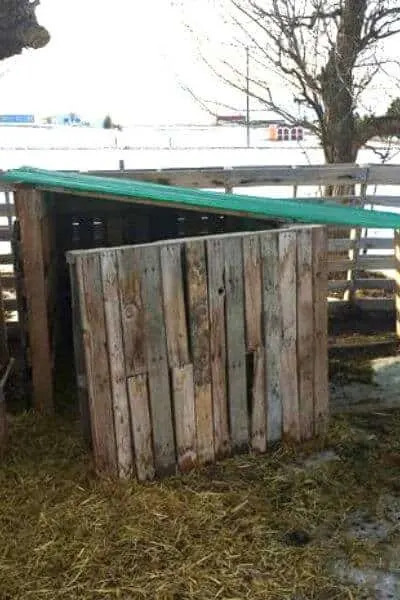 DIY Pallet Goat House