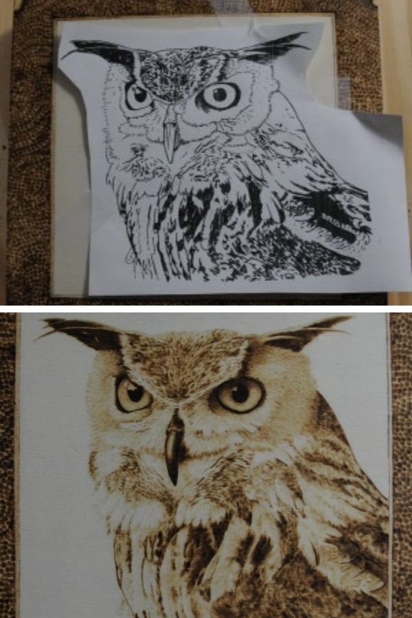 Hawk Owl Pyrography