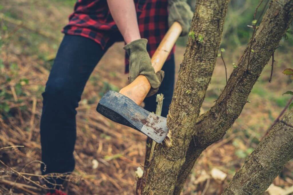Benefits of A Felling Axe