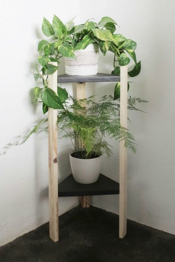 Corner DIY Plant Stand