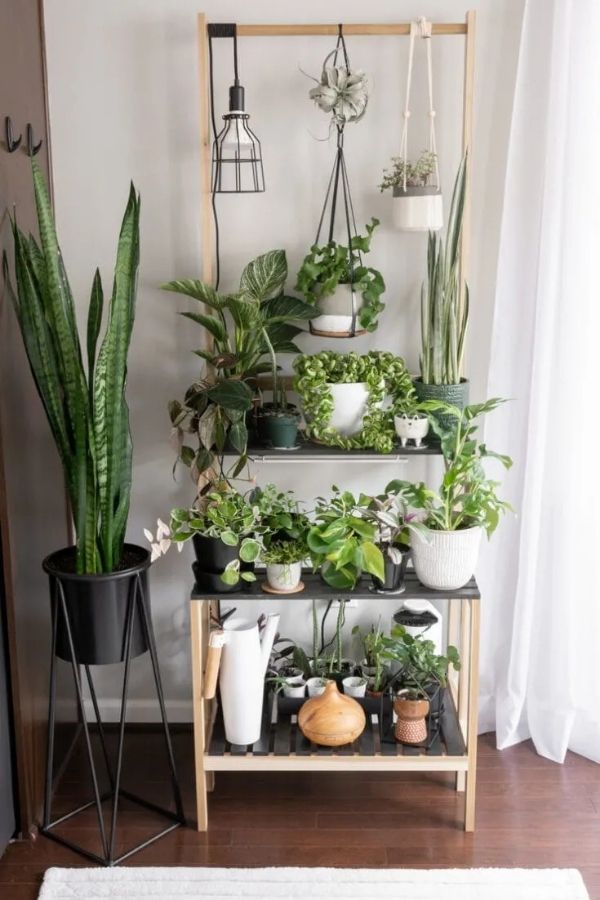 Multi-Tier Tall Plant Stand