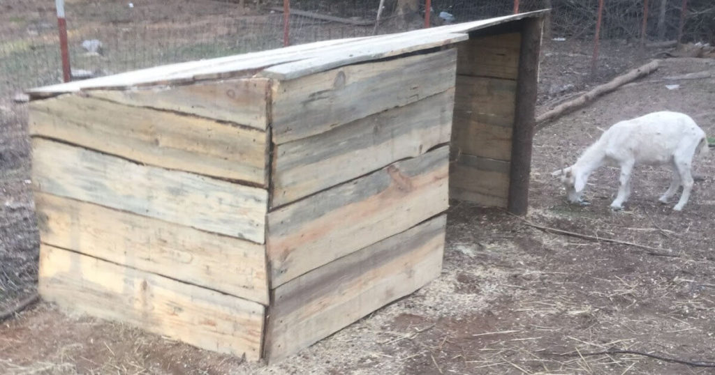 Construction Of New Goat Shelter