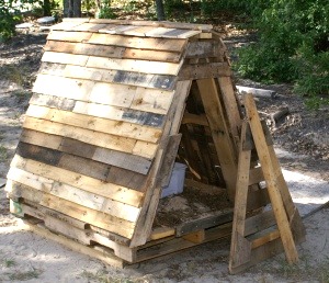 Pygmy Goat Pallet House