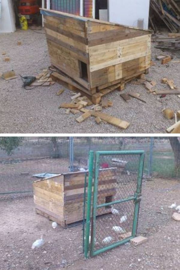 Build A Chicken Coop Built From Old Pallets