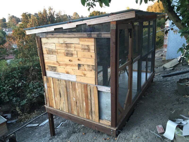 Pallet & Recycled Wood Chicken Coop