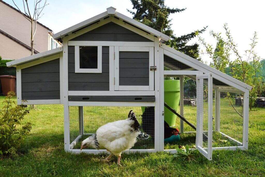 35 DIY Pallet Chicken Coop Plans And Ideas