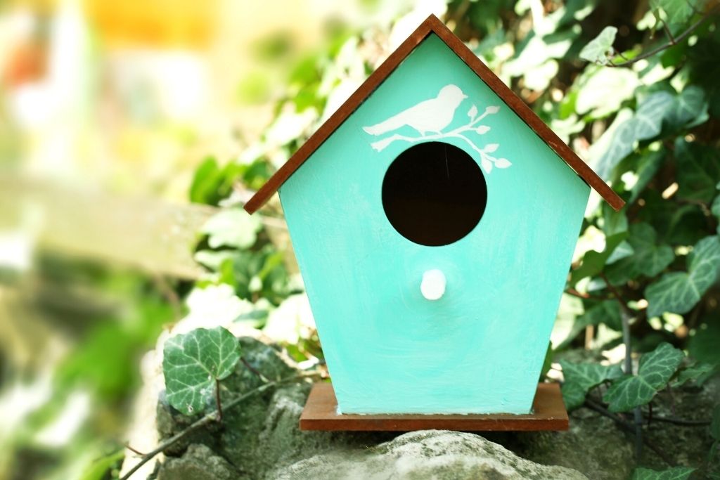 Hummingbird House Plans