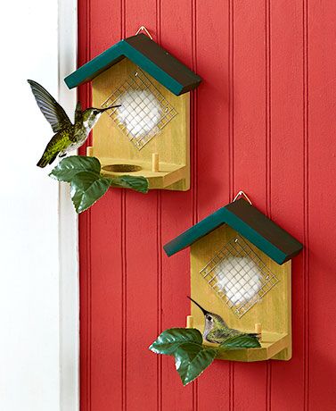 Hummingbird House With Set Of 2 Nesters