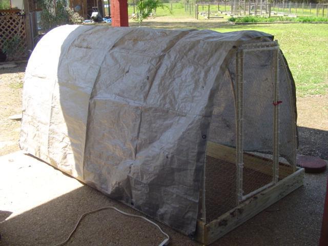 Mobile Chicken Tractor With Plastic Tarp Roofing