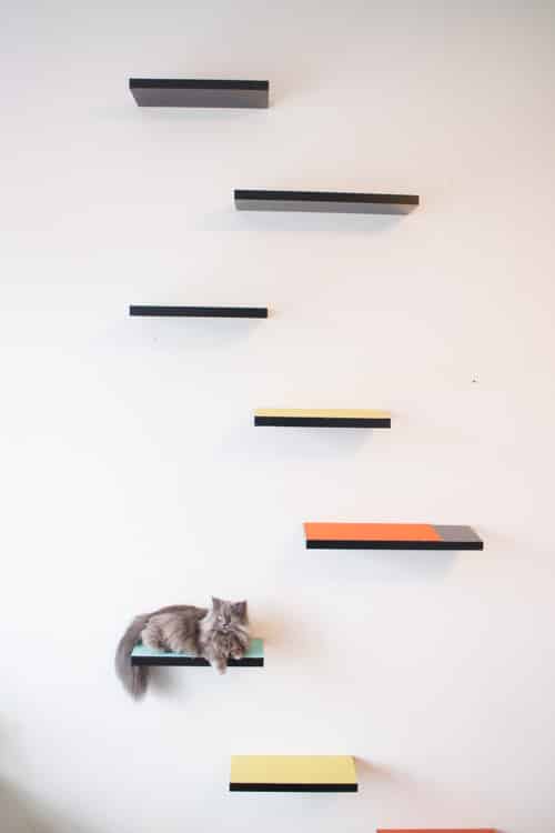 Simplistic Cat Shelves Plan